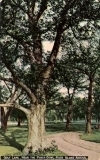 Golf Lane, Near the Punch Bowl, Rock Island, Illinois