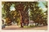 Tribune Park, Woodstock, Vermont