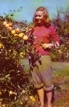Apple Orchards in West Virginia