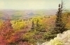 Autumn Color
