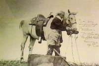 Buffalo Bill and Horse
