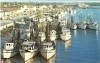 Louisiana Shrimp Boats