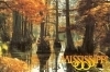 Mississippi Cypress