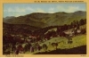 Mt. Mitchell, Highest Peak east of the Rockies, Western North Carolina
