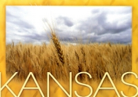 Kansas Wheat
