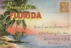 Florida Souvenir Folder