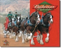 Budweiser - Clydesdales
