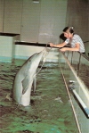 New England Aquarium, Boston, Massachusetts