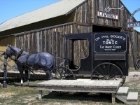 Livery & Elixer Print or Canvas - Starting @ $12.99