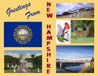New Hampshire Greetings Custom Postcard
