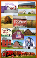 Barns 'n' Farms Americana Poster