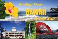 Hawaii Greetings Postcard