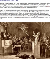 Salem Witch Trials E-Article (Download)