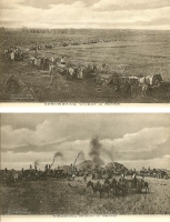 Harvesting/Threshing Wheat in Texas - Set of 2 Postcards