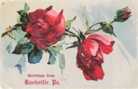 Greetings From Rushville, Pennsylvania Postcard