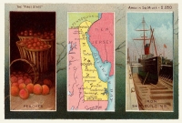 Delaware Reproduction Vintage Postcard