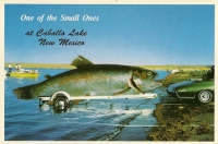 Caballo Lake, New Mexico Postcard