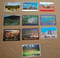 Set of 10 Assorted New Mexico Postcards