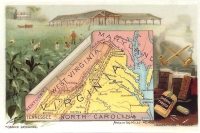 Virginia Reproduction Vintage Postcard