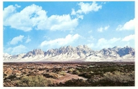 Organ Mountains, New Mexico Postcard