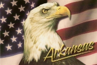 Arkansas Bald Eagle Postcard