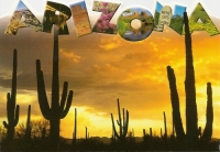 Arizona Die Cut