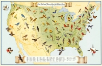 State Birds & Flowers Map