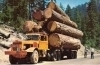 California Logging Truck