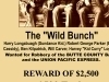 thumb_932_wild_bunch_wanted-close-600.jpg