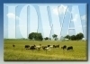 Iowa Large Letter Postcard (New/Unused)