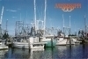 Mississippi Gulf Coast