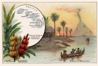 Hawaii Reproduction Vintage Postcard 