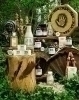 Cherokee Herbal Remedies