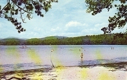 White Lake State Park, Tamworth, New Hampshire Postcard