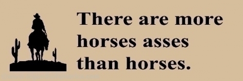 There are more horses asses than horses.