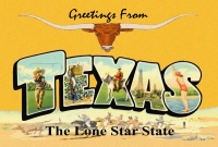 Texas Greetings Postcard