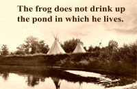 The Frog Does Not ... 11x17 Poster