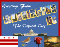 Washington D.C. Postcard