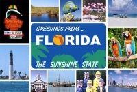 Florida Greetings Postcard