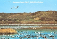 Squaw Creek Wildlife Refuge, Missouri Postcard