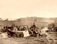 Antietam Wounded (Download)