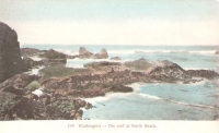 Surf, North Beach, Washington Postcard