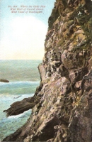 West Wall of Carroll Island, Washington Postcard