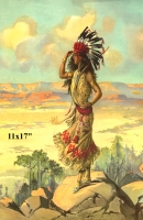 Native American Woman Poster