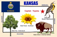 Kansas Symbols Map Poster