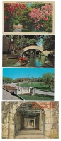 San Antonio, Texas - Set of 4 Postcards