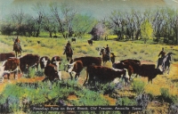 Tascosa, Texas - Boys Ranch Roundup Postcard