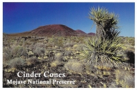 Mojave National Preserve, Utah - Cinder Cones