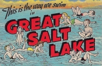 Great Salt Lake Cartoon Postcard