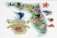 Florida Who, What, & Where Map Postcard